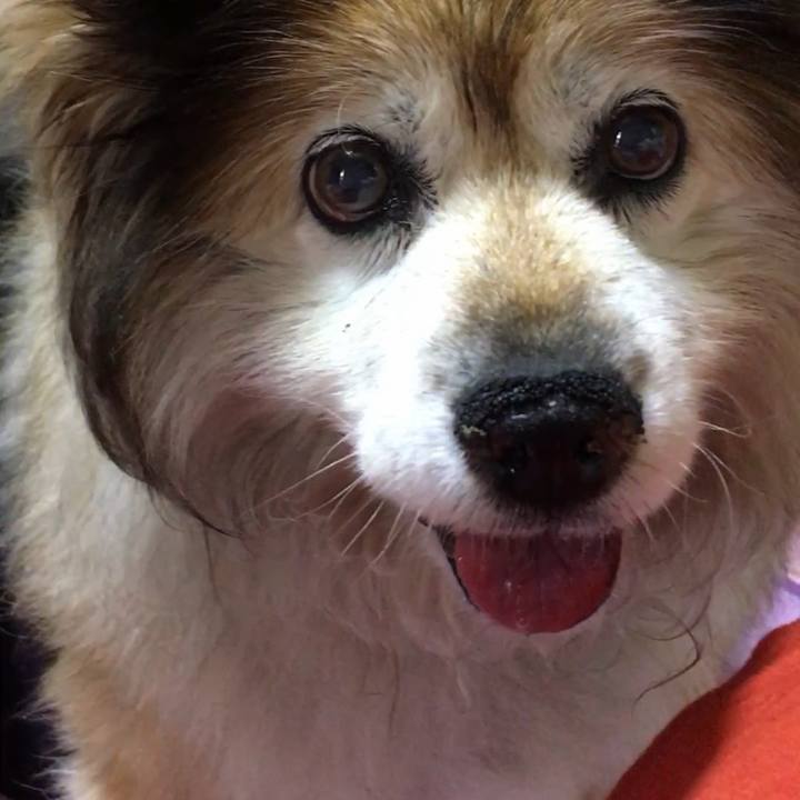 995cbd4c d44d 45b8 a519 ccdec7999fc0 1603328009733