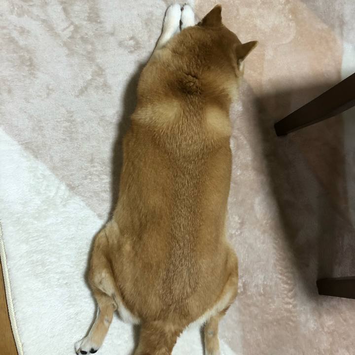 995ceefd be20 45fe b0bb d9b3f927fa04 1584238539242