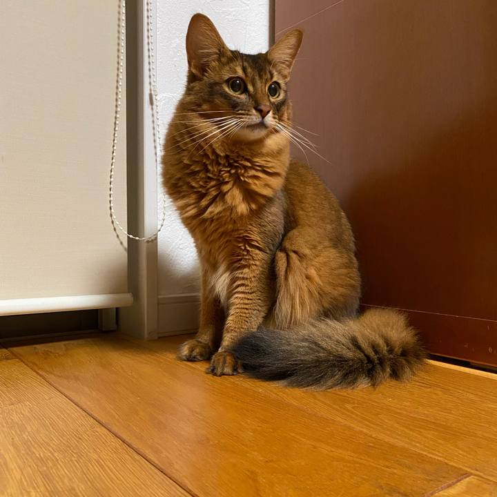 995cfe09 65b7 448a a24c e9d0be7ec82a 1634195087354