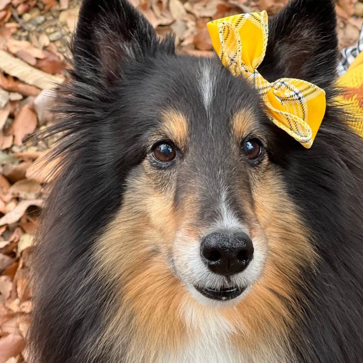 995d392a 61e0 4333 b409 b623d0ac156b 1645892444628