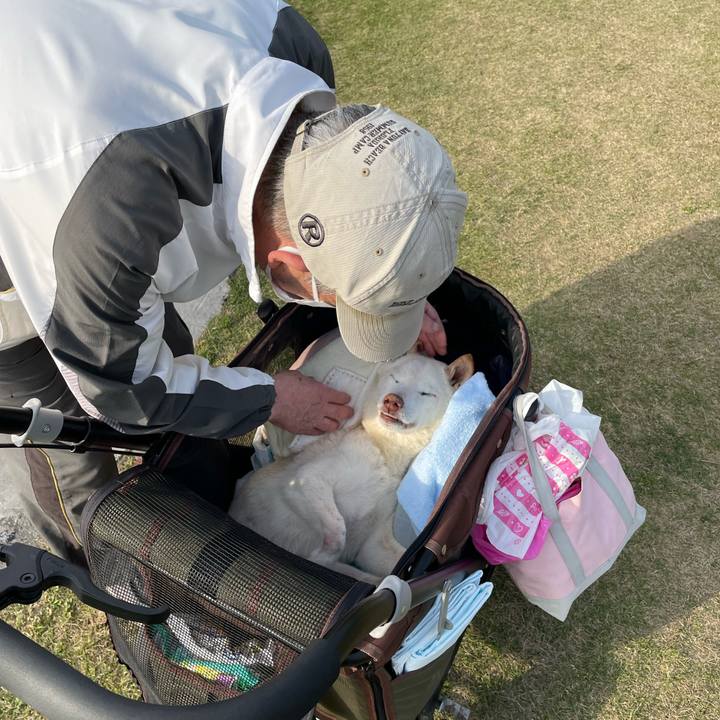 995d6ecf bd55 46c3 bdd1 8061aba62e65 1680090635138