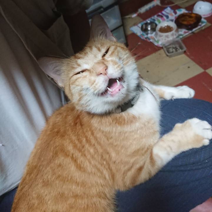 995d8156 2f19 41d1 a3e6 07cdff8ced1d 1594152090544