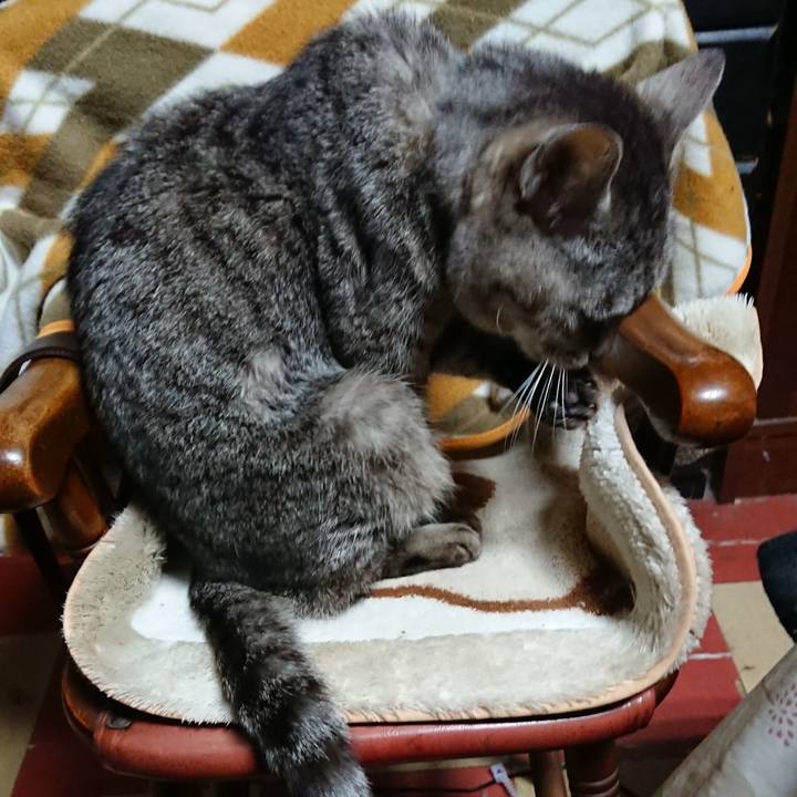 995dd0c7 d965 49f3 a372 42d6a7236cdb 1551692935245