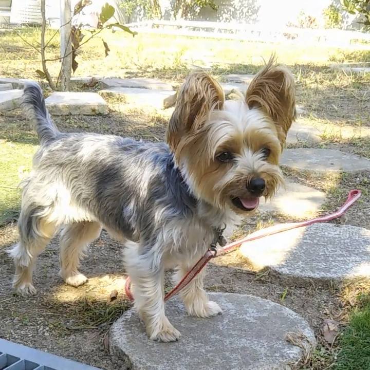 995df530 13f8 4152 8597 1c2b887c81fa 1664707591693