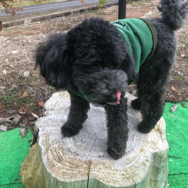 995df6ba 2953 427c 8227 8eb6a134eaf2 1603881662470