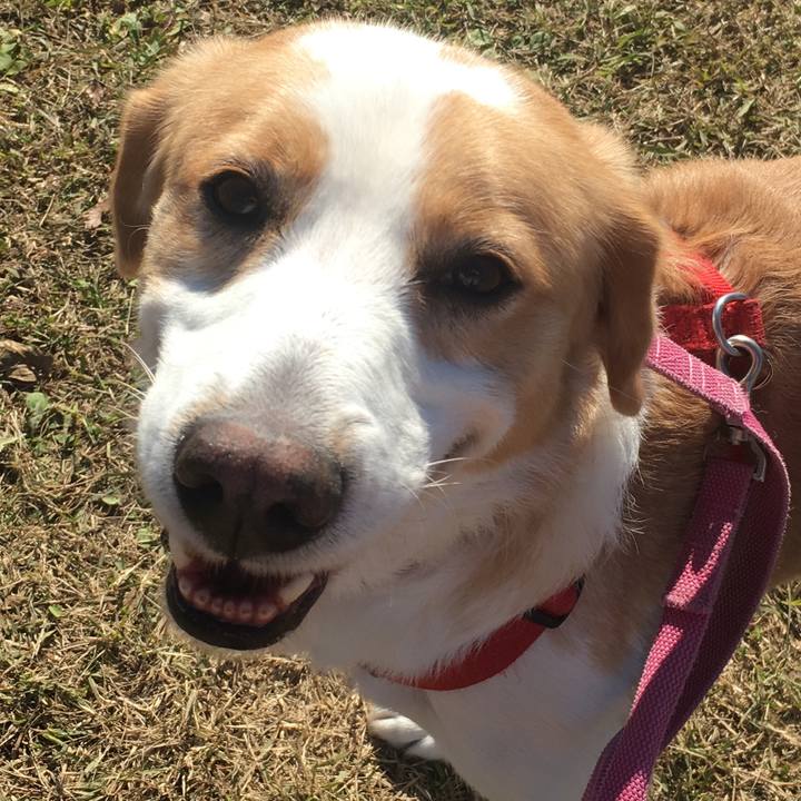 995e2dce 8e29 4375 af63 3d324d4738be 1511600627962