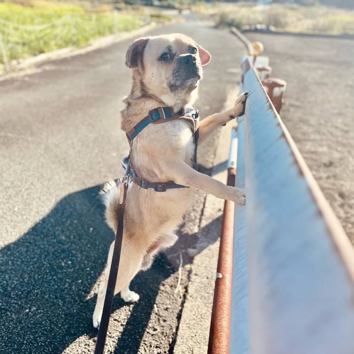 995e32b8 f176 46b8 88eb 10d3cc24b49d 1761694103925