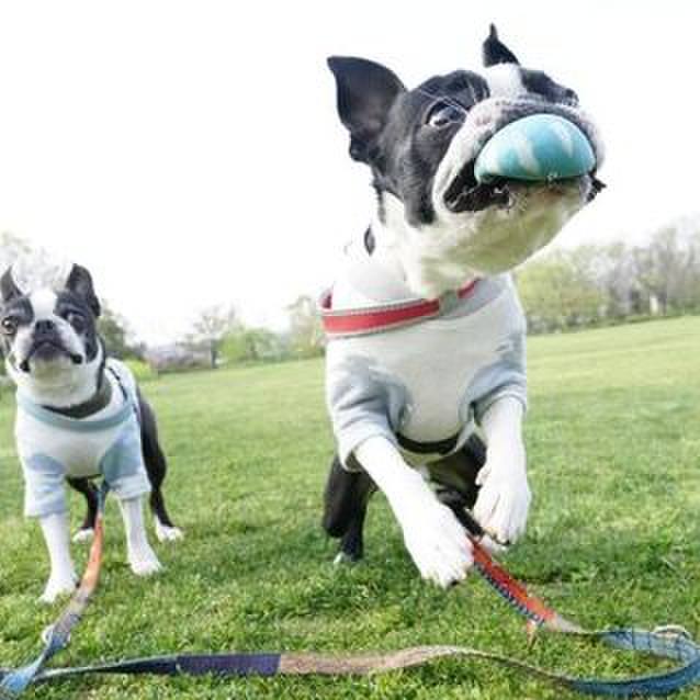 995e4534 9e75 4391 9576 187f46b5411e 1522728524762