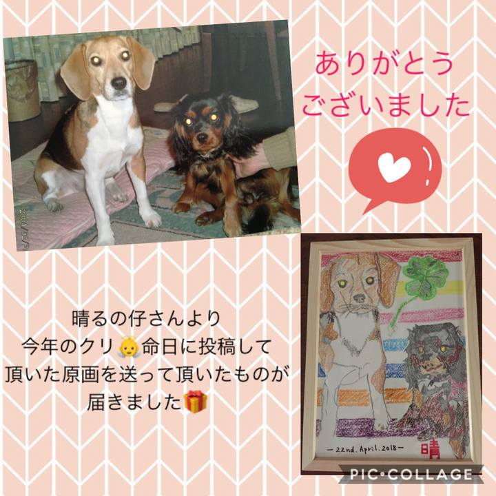 995e46cb abc0 4e6c ad78 7ff11ab7919f 1535011337606