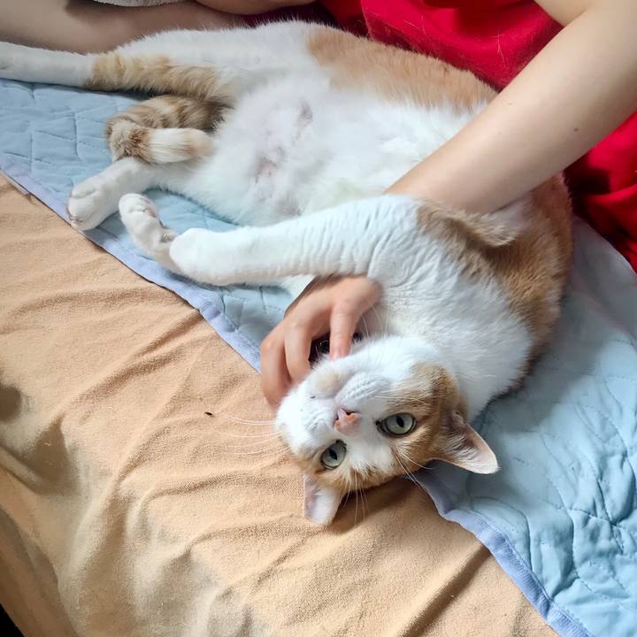 995e594f 692c 48c6 9337 17cd0915fd5a 1665239687361