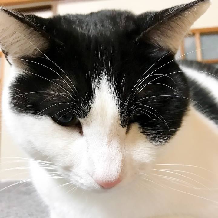 995e7607 7520 410e 8009 a9ea676fec69 1518581183188