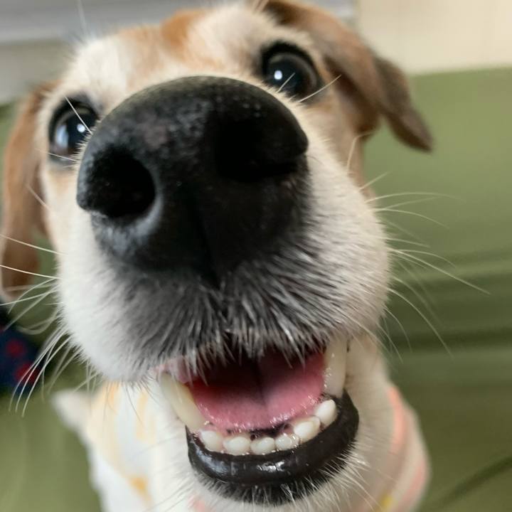 995eb40f e2c9 442f 8d41 abac06d8e372 1592345372721