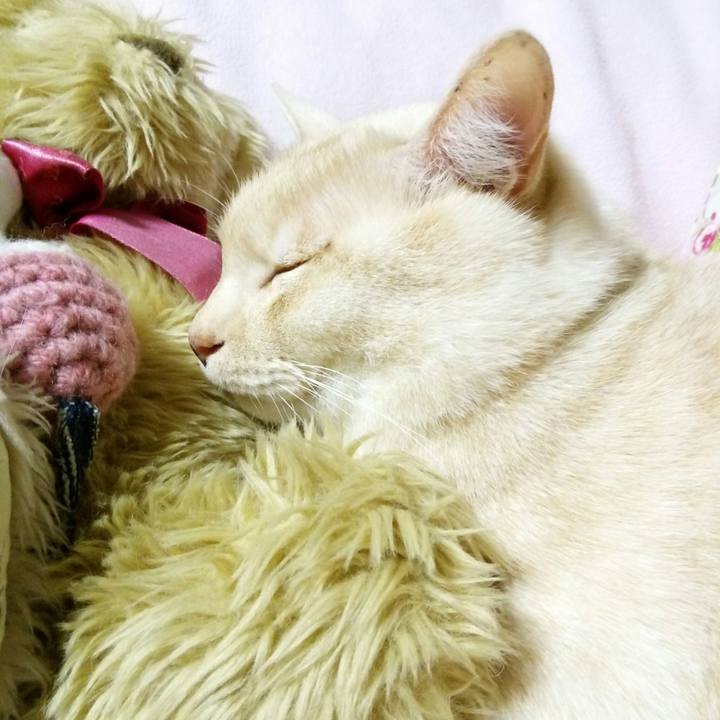 995eb852 4006 4ae9 9b33 ba4fd94cb288 1519307084794