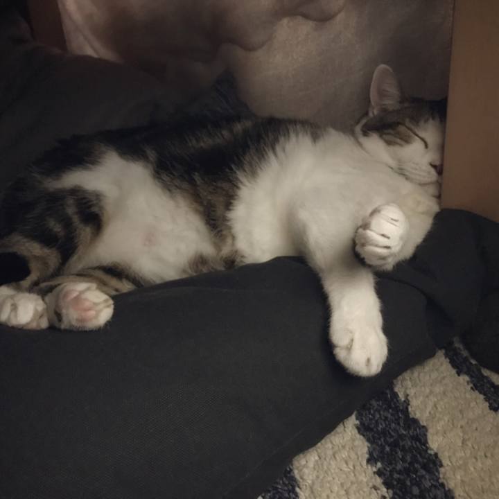 995ecccb 7dc6 495f a324 08b1052d12be 1551427096270