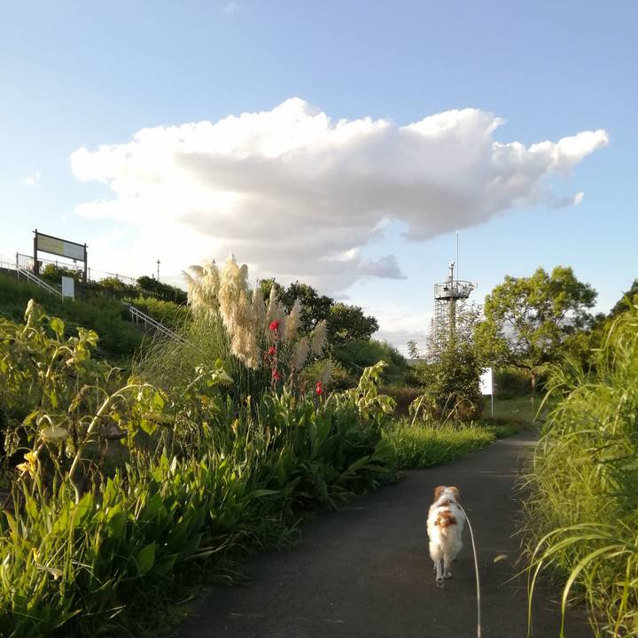 995ed130 de92 4b2d aa2d 0db1bb8776d7 1567855668727