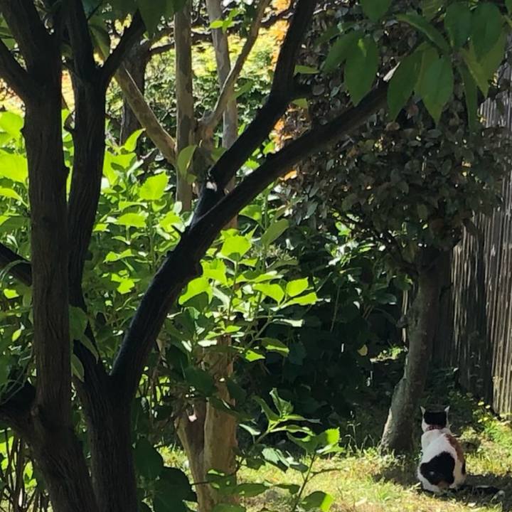 995ee30b 3b4f 445c acb9 bfe958ae14bc 1652195268003