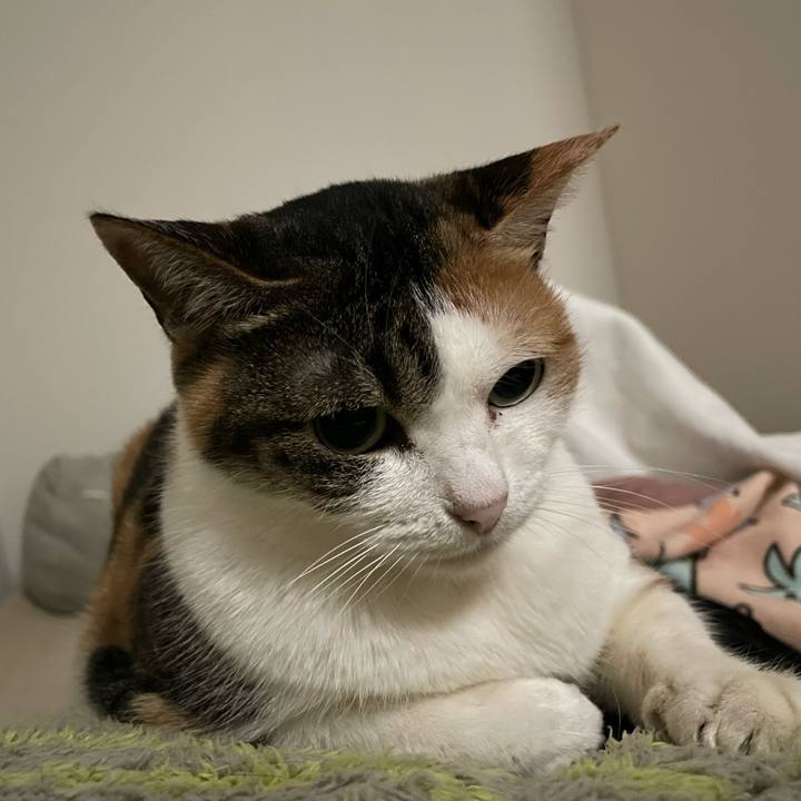 995f559e 50bc 4f1a b76c 0ccc173320fc 1673621567197