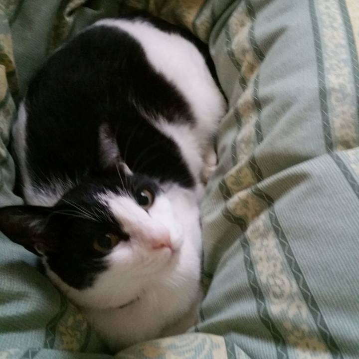 995f6e44 3c18 45bd b829 5c360a5e928f 1539126381392