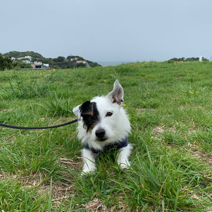 995f7dfa f54d 4cd5 838c 47240725be6c 1650760857304