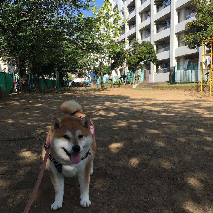 995f9c01 95dc 4fd5 bafc a6ee91d345f0 1565309518314