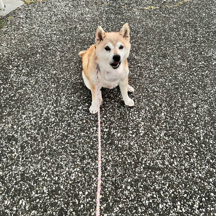 995f9d8b 6883 4599 aa63 002172527691 1751971781120