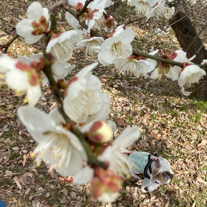 995f9e55 5f34 4b1a b424 d9e771e96c46 1614070052844