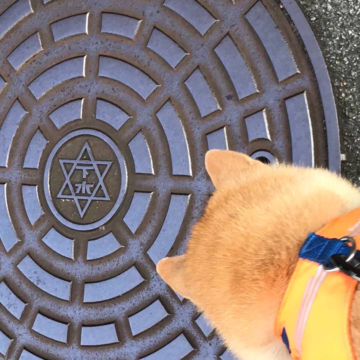 995fbece 1903 4b40 9e68 b4bbafc37665 1533037721356