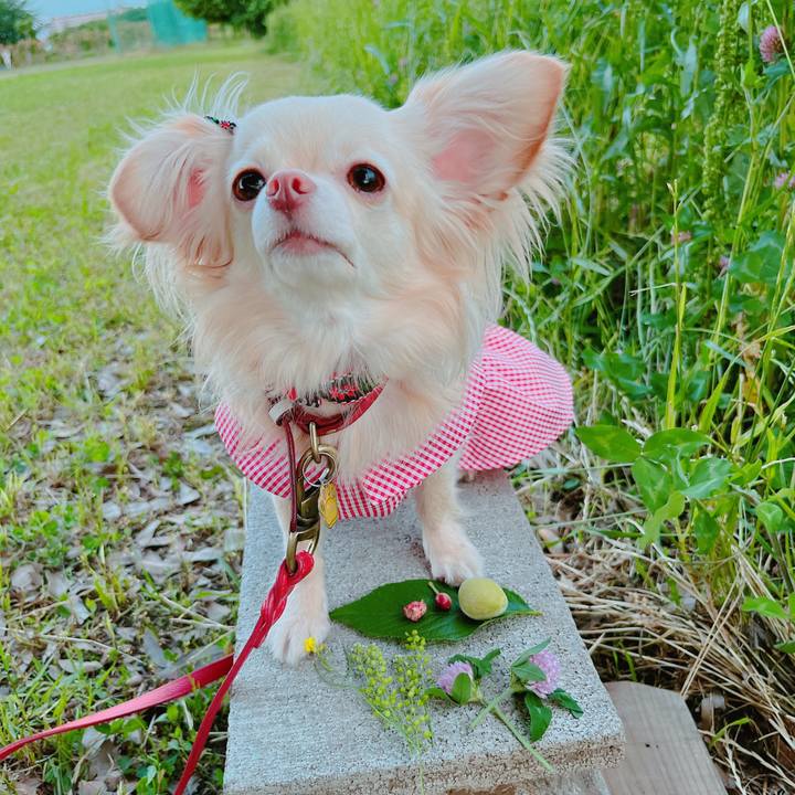 995fd8f8 785f 440d afa8 6fea9aed2de2 1653311671008