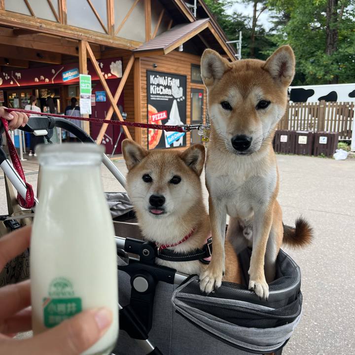 995fe3ba 5607 4478 8e5f c79f150ee6fc 1755254160185