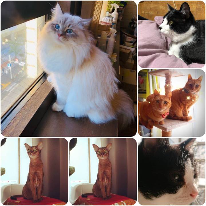 99601a4c 460f 4ae3 8596 feea8b6ddd8d 1555365482970