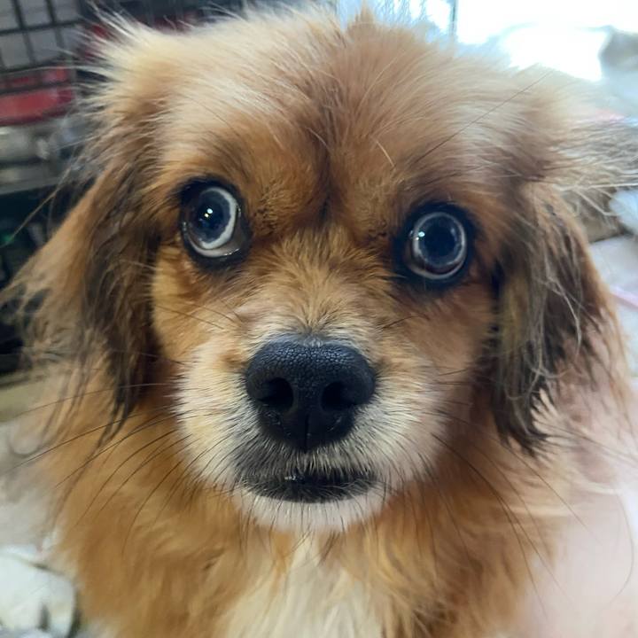 996036ba c64b 456f b3e3 56349e859046 1610328617343