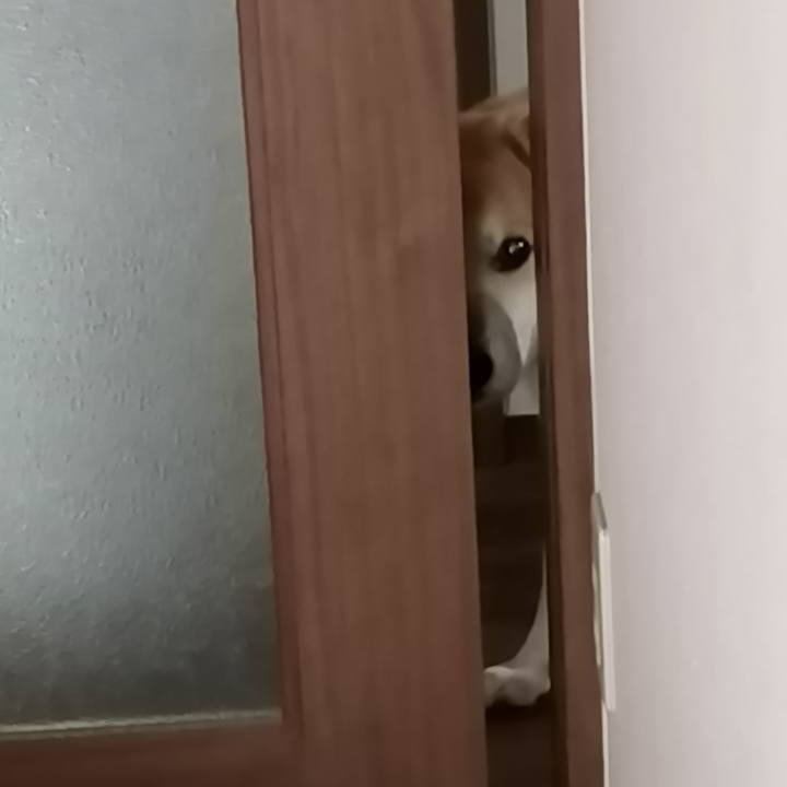 9960b4ea 115b 40f1 880a abbe92aa6ffe 1575863954600