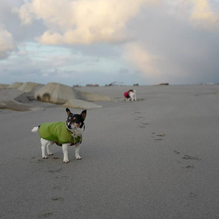 9960f6aa fc66 40fa 9909 ddeb7d168711 1515041875189