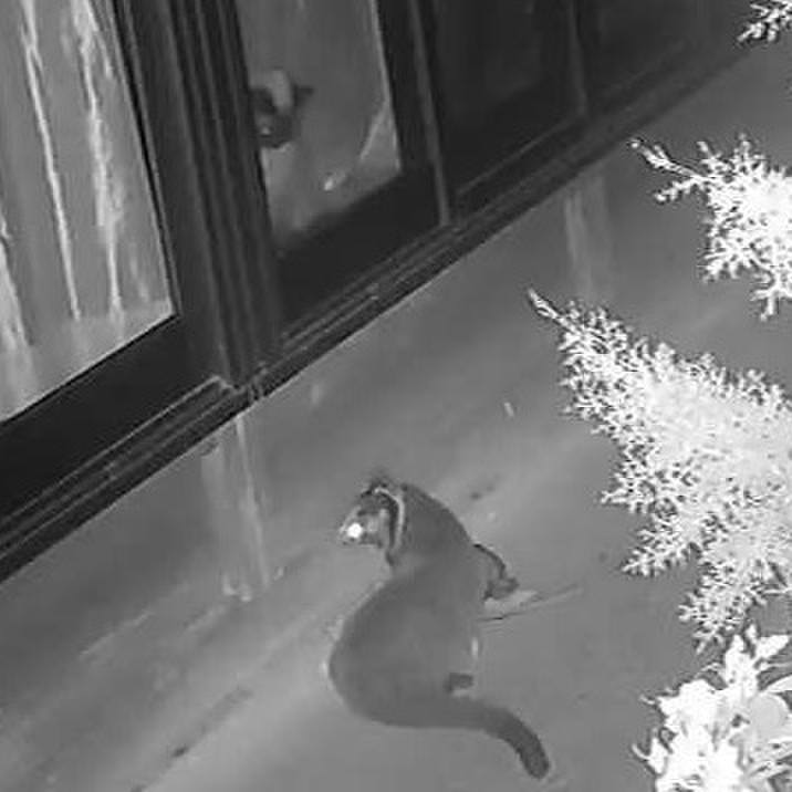 99613a9d 6598 430c be33 f1c140d1b286 1653483331429