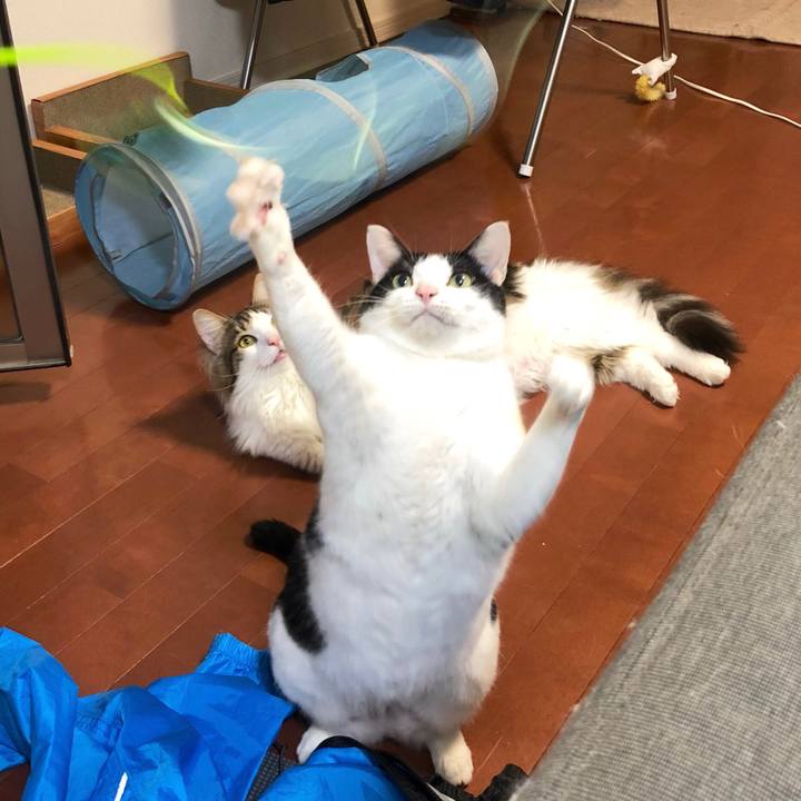 99614e16 2822 4a79 b3ef 2e1a3d099659 1555563952025