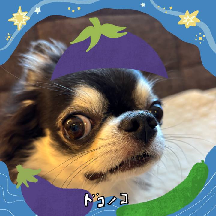 9961716b 785d 4b5a 96b4 7de8b89442ed 1755215925612