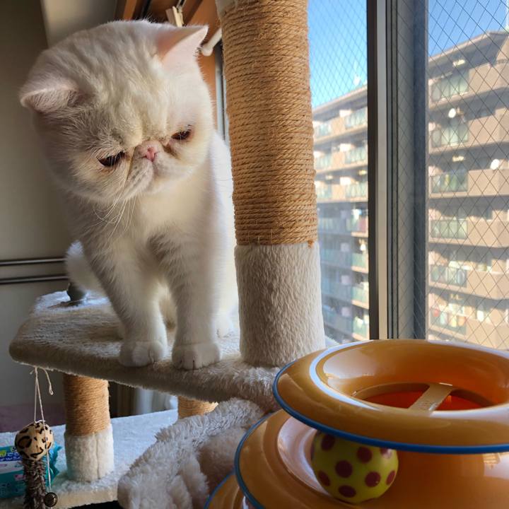 996176a5 9f3b 4906 86de 624fd810a0b6 1673232717034