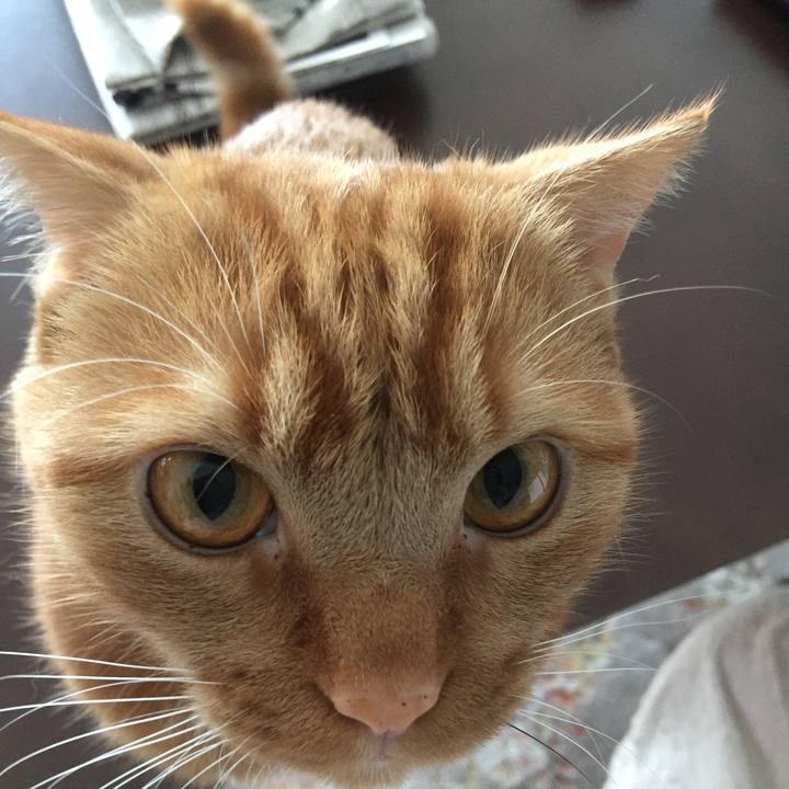 996189a9 2530 4313 bf25 39f3bf2162f6 1527985281103