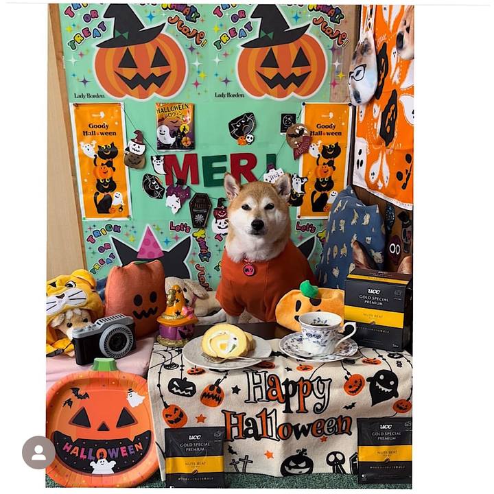 9961a4b3 a9a0 46fa 96e6 23452e9c28ce 1663840943593