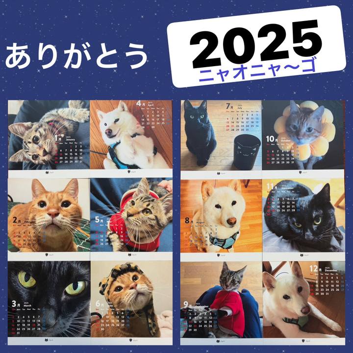 9961cc05 f046 40fa 8780 a9de5fe85af1 1766727032630