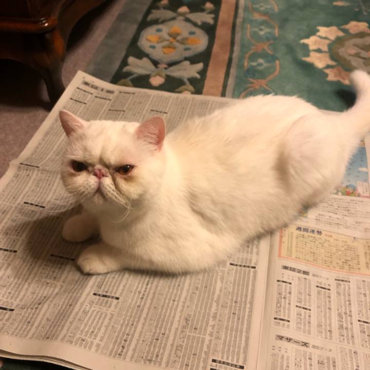 9961ccef 8ba2 4253 84bb 8691cff180e5 1639822972373