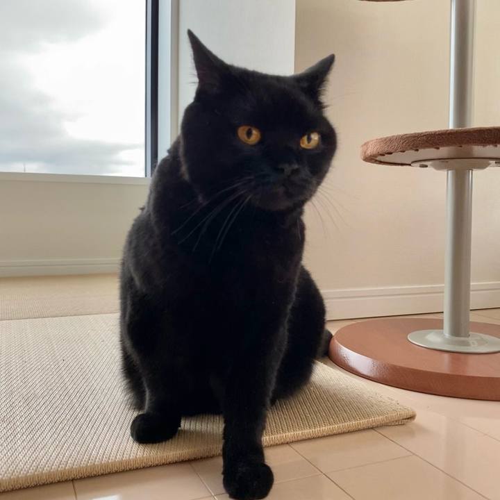 996229ab 6488 4ed5 a897 0de7e7acc98d 1623879140801