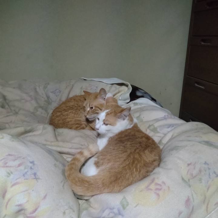 996238b8 4915 4af8 8e28 458b25c15834 1744019095440