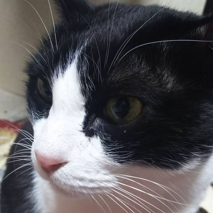 996239cc 4dd3 4340 b7c2 bb57ce701480 1579215985749