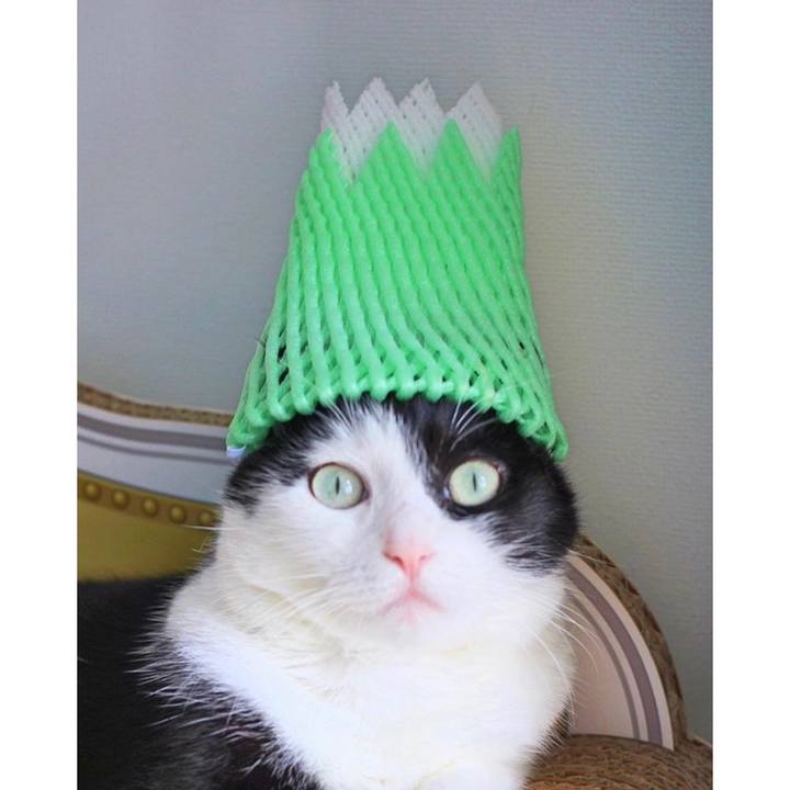 9962629c c476 4774 870e b5e394521ae6 1558187283995