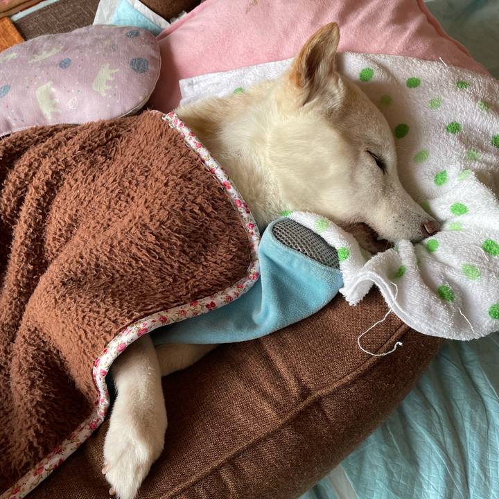 9962917a ebdf 41da 83c9 c61a07e80905 1670740041954