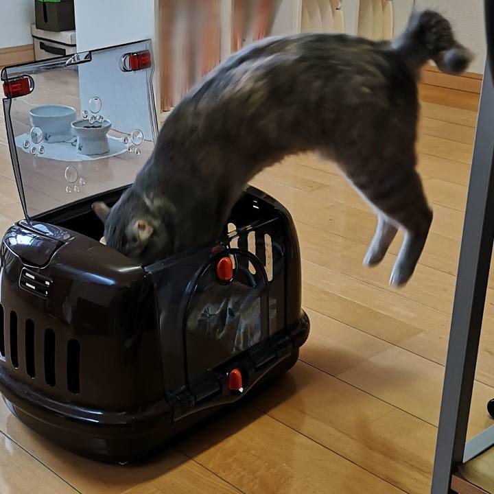 99630462 3ba4 422c a73f dd13dbaeee37 1586506826992