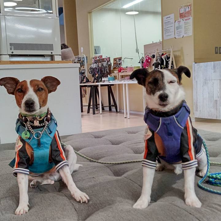 99630cfe acdd 45ae 91c1 bbba605fe329 1645869918345