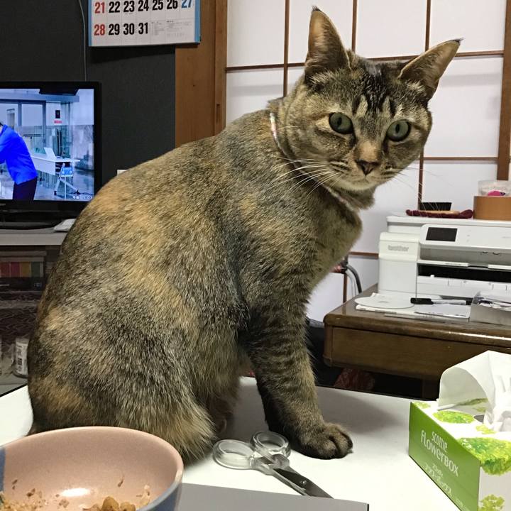 99635e6f 0cbf 46ce 8d8f 9a8e7e022a42 1616659494786