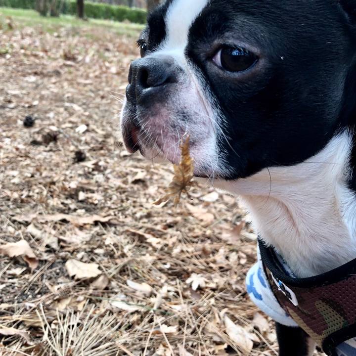 99639c52 fe5e 41e7 b7a1 f656b4fb9a0a 1520215797625